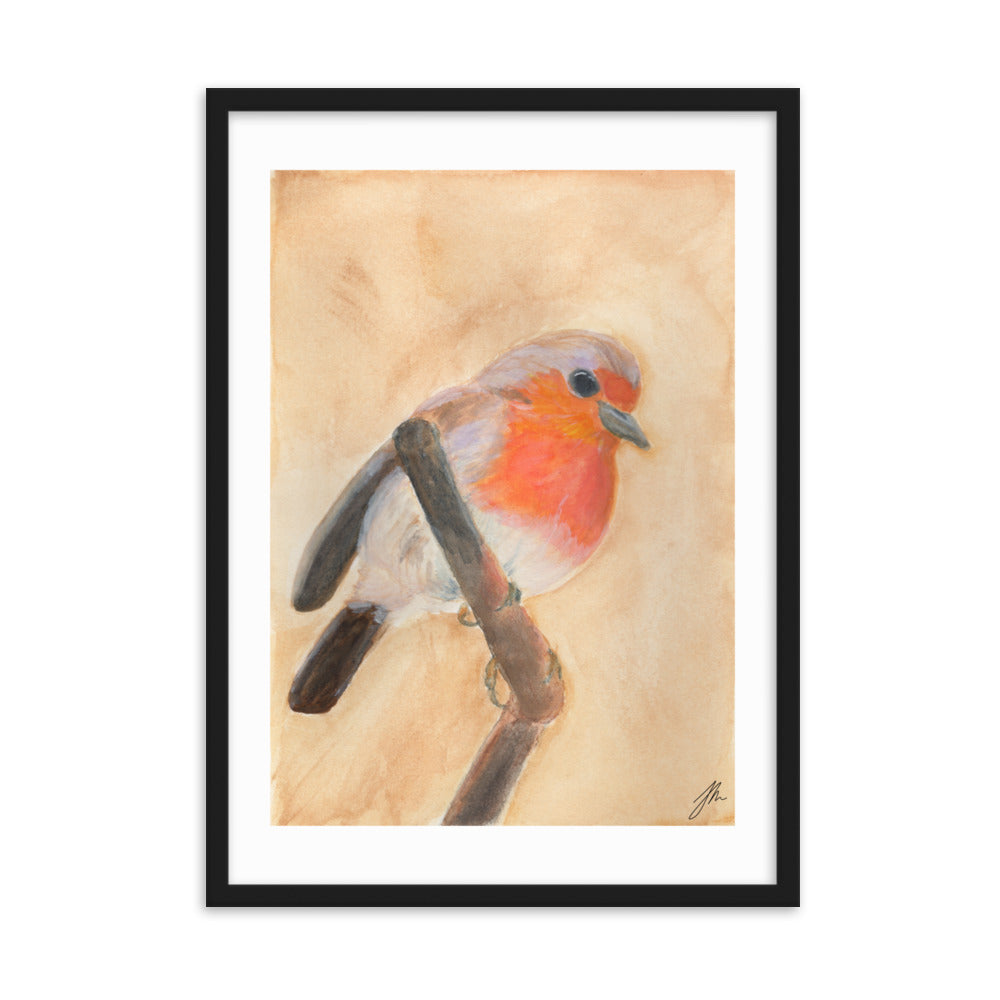 Red Breasted Wren Framed matte paper poster