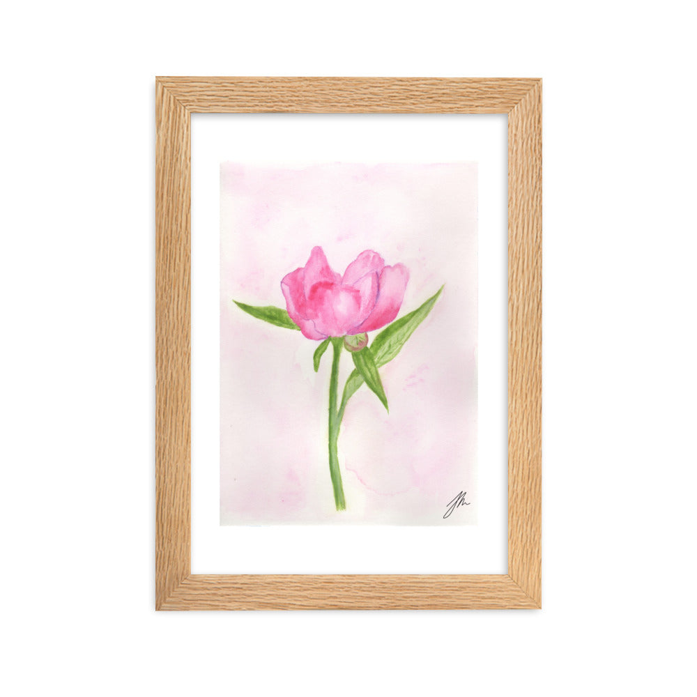 Pink Peony Framed matte paper poster