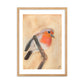 Red Breasted Wren Framed matte paper poster