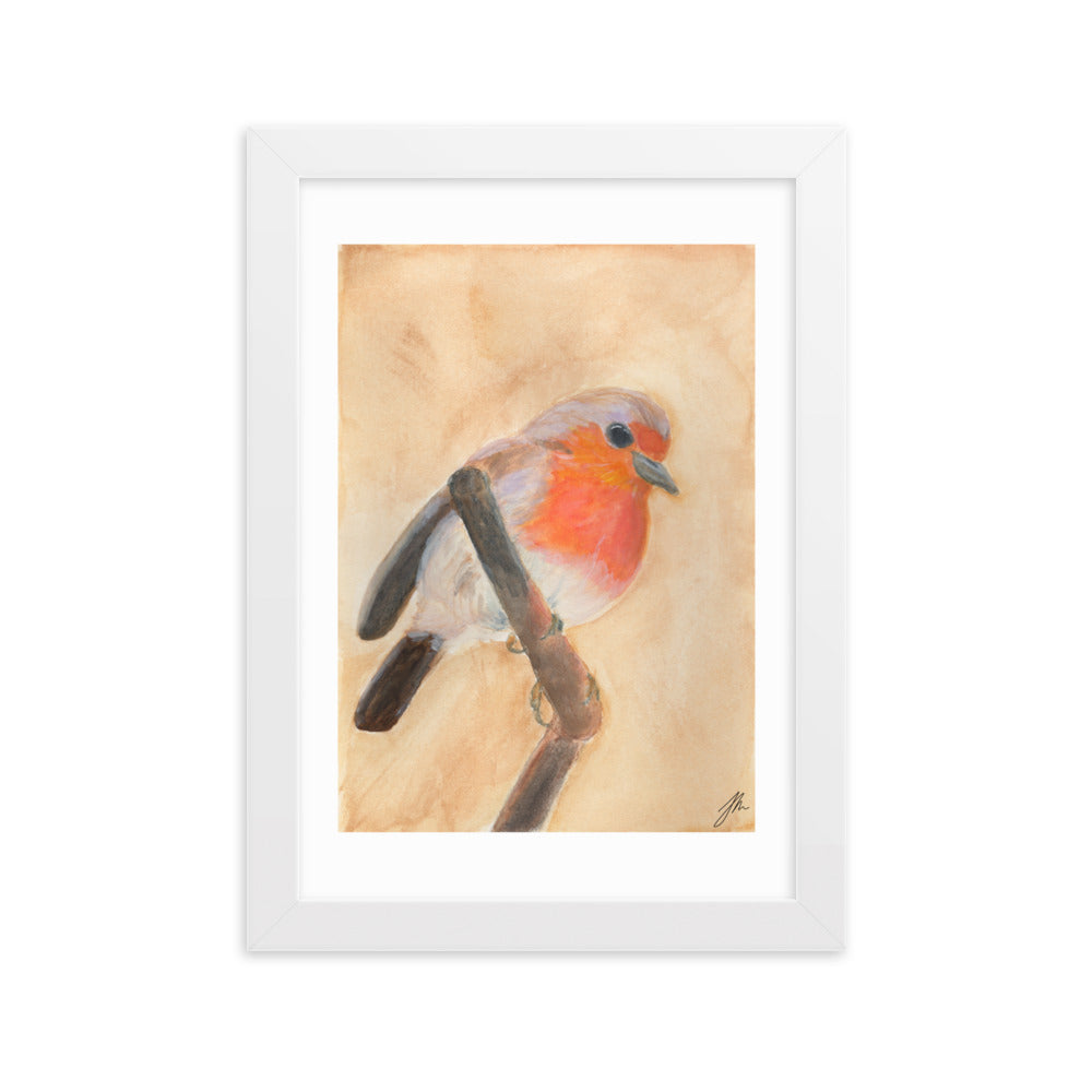 Red Breasted Wren Framed matte paper poster