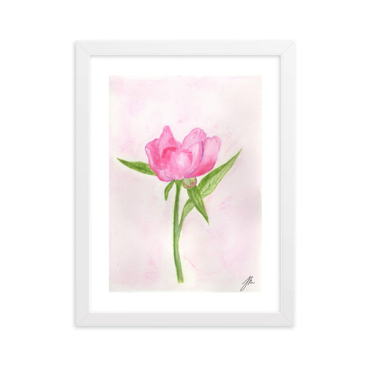 Pink Peony Framed matte paper poster