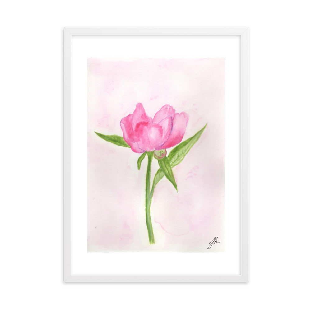 Pink Peony Framed matte paper poster